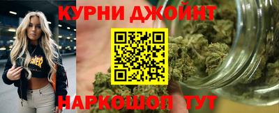 гидра Заводоуковск