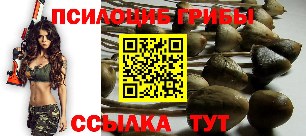 Галлюциногенные грибы Psilocybine cubensis Шарыпово